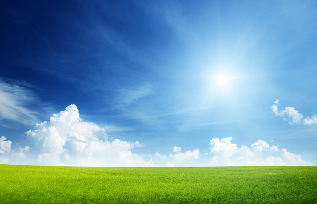 草和完美的天空领域