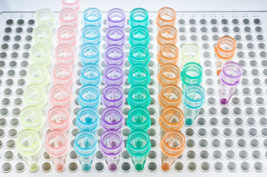 機(jī)架管 dna照片