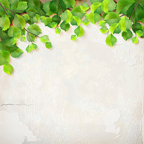 矢量树分支叶子石膏墙背景图片