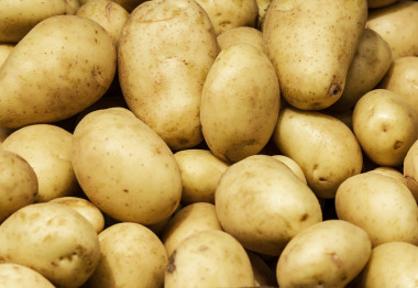 馬鈴薯背景.照片