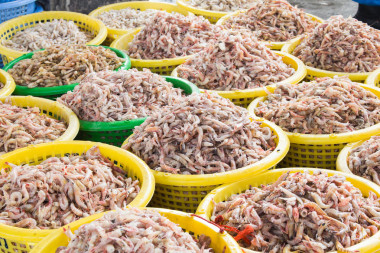 堆棧的鮮蝦在籃子里賣魚碼頭市場