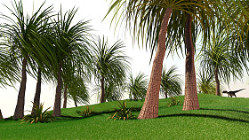 在海滩上的棕榈树