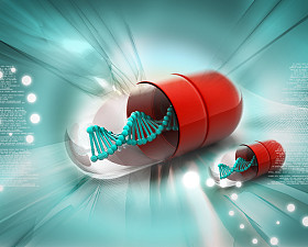 丸中 dna