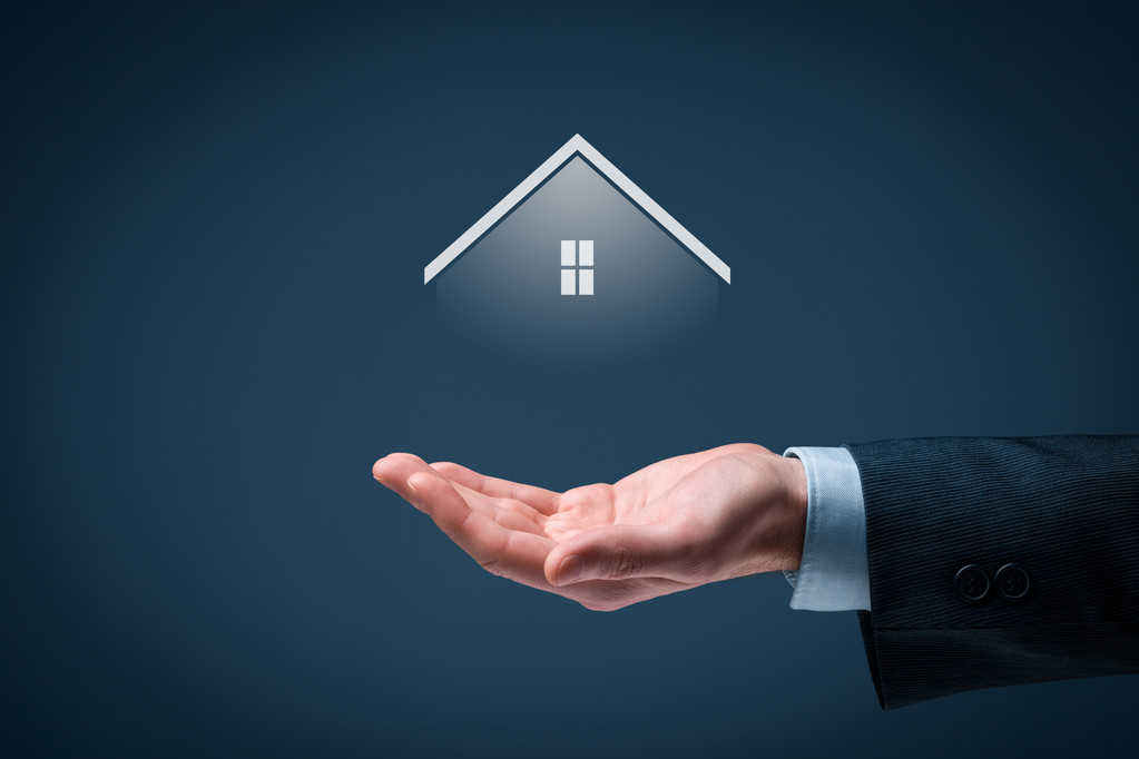 房地产经纪人 房地产经纪人