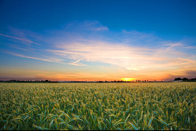 带出色地详细前景风景的照片