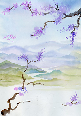 樱花照片