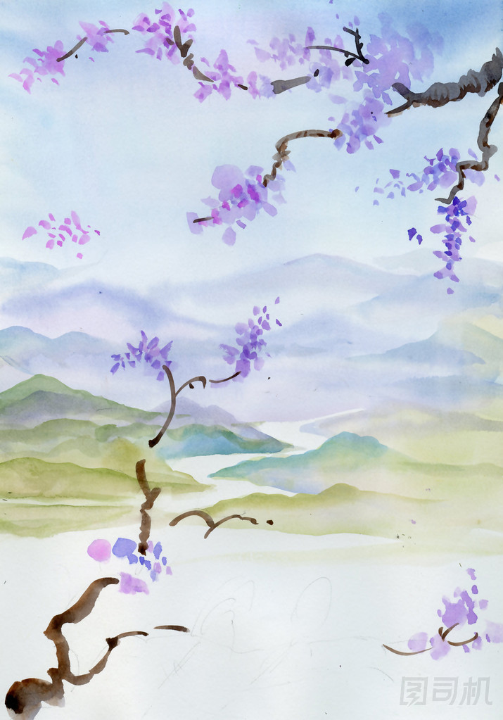 櫻花照片