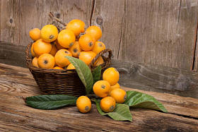 Frukterna av mispel trad of loquat tree