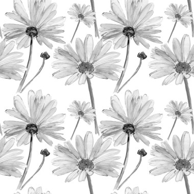 灰色的花。黛西圖片