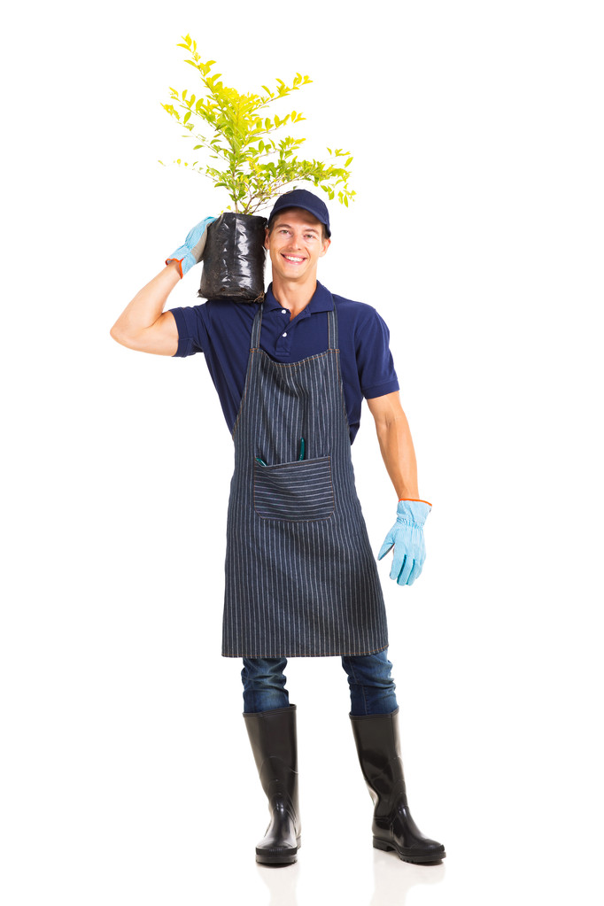 携带一种植物的园