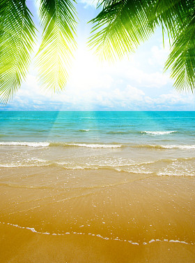 沙子和海洋图片