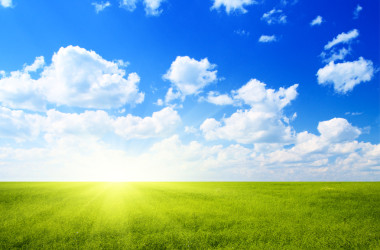 领域的亚麻和蓝色的天空