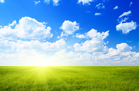 领域的亚麻和蓝色的天空