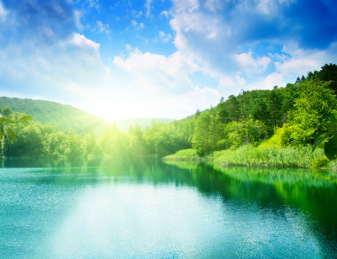 在森林中的綠水湖圖片