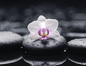 水疗中心坐图片