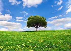 美丽的春天风景照片