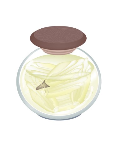 在麦芽醋腌荬的罐子里照片