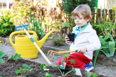 可愛的金發(fā)男孩，種植種子和幼苗的西紅柿