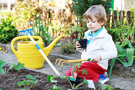 可爱的金发男孩，种植种子和幼苗的西红柿