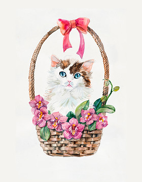 在用花篮子的小猫。篮子里面的兰花