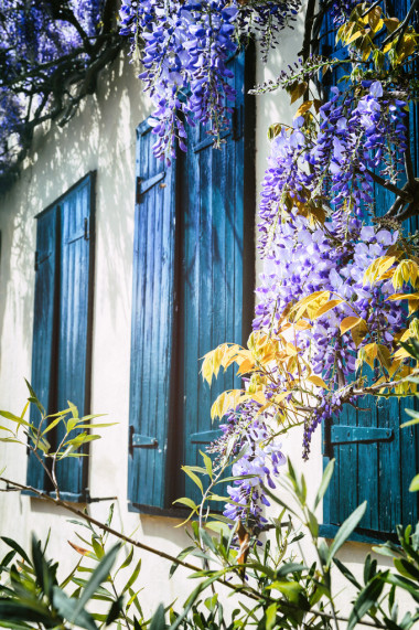 旧窗户，蓝色的百叶窗图片