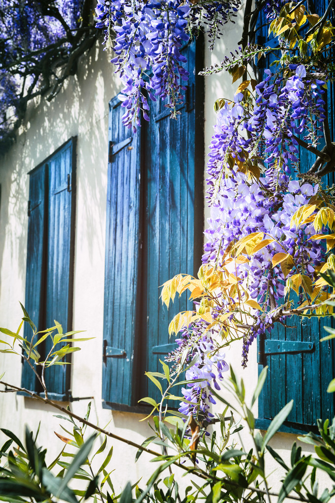 旧窗户,蓝色的百叶窗图片 旧窗户,蓝色的百叶窗图片