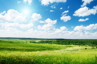 夏天阳光灿烂的日子和花的领域