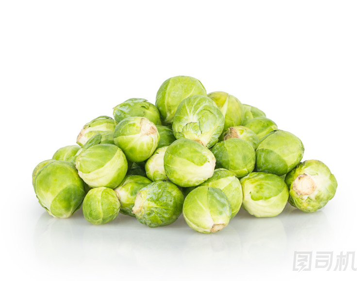 布魯塞爾芽菜