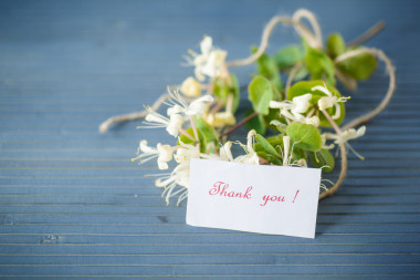 白色的鐵線蓮花感