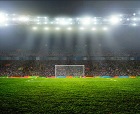 在球场上. 图片