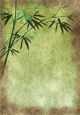 旧纸与竹分支