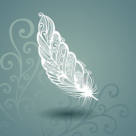绝世羽毛华丽的背景中的矢量模板