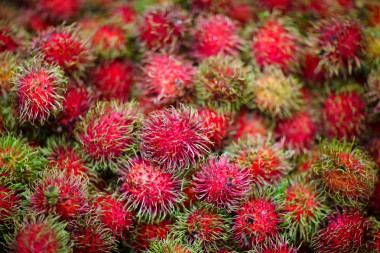 午餐是海鮮圖片