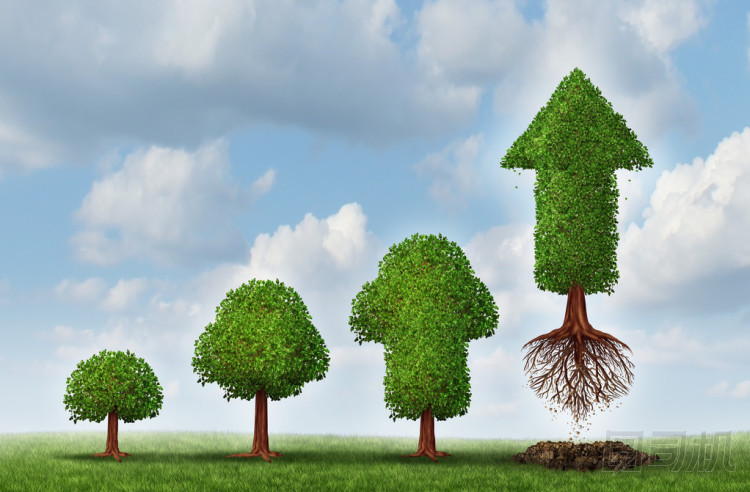 成功投資的關(guān)鍵圖片