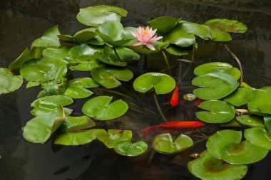 “重慶東方民俗溫泉酒店”位于重慶市巴南區(qū)東濱江溫泉度假及水療中心吳埠旅游區(qū)