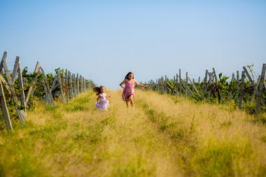 在葡萄園的孩子圖片