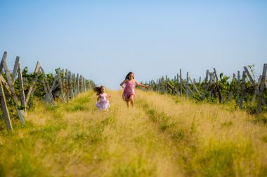 在葡萄园的孩子图片