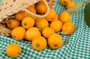 用枇杷篮子照片