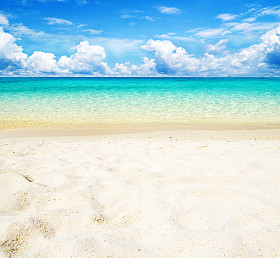  海
