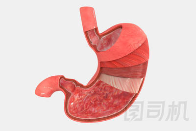 胃