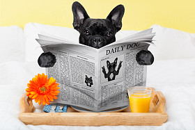 在床上吃早餐图片