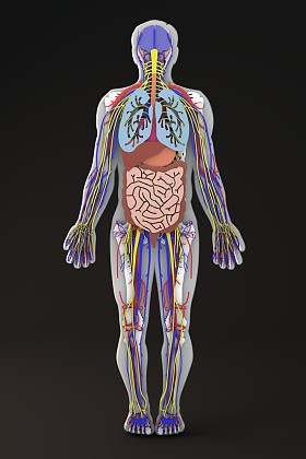 器官及器械制造图片