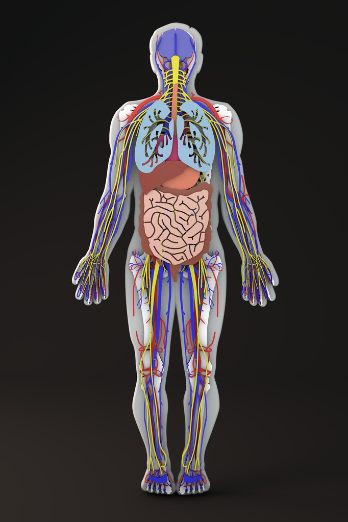 器官及器械制造图片 器官及器械制造图片