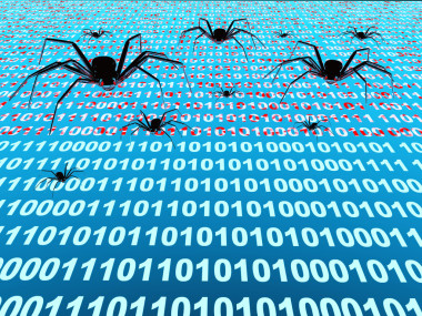 互聯(lián)網(wǎng)的 bug圖片