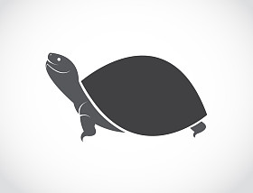 矢量图像的龟设计图片