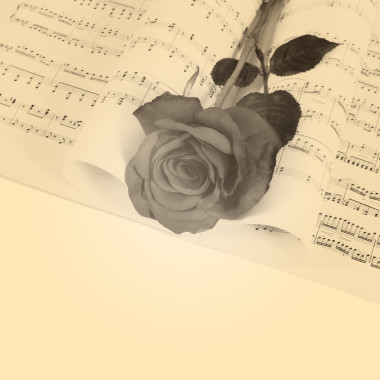 玫瑰的濃郁的筆記本照片