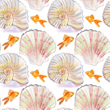 海貝殼，用金色的魚圖片