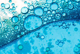 单元格背景照片