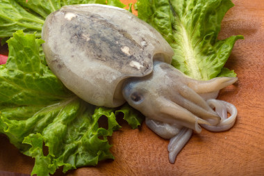 原料墨魚(yú)圖片
