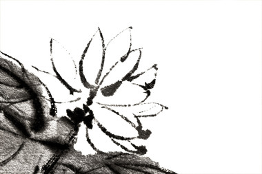 花卉